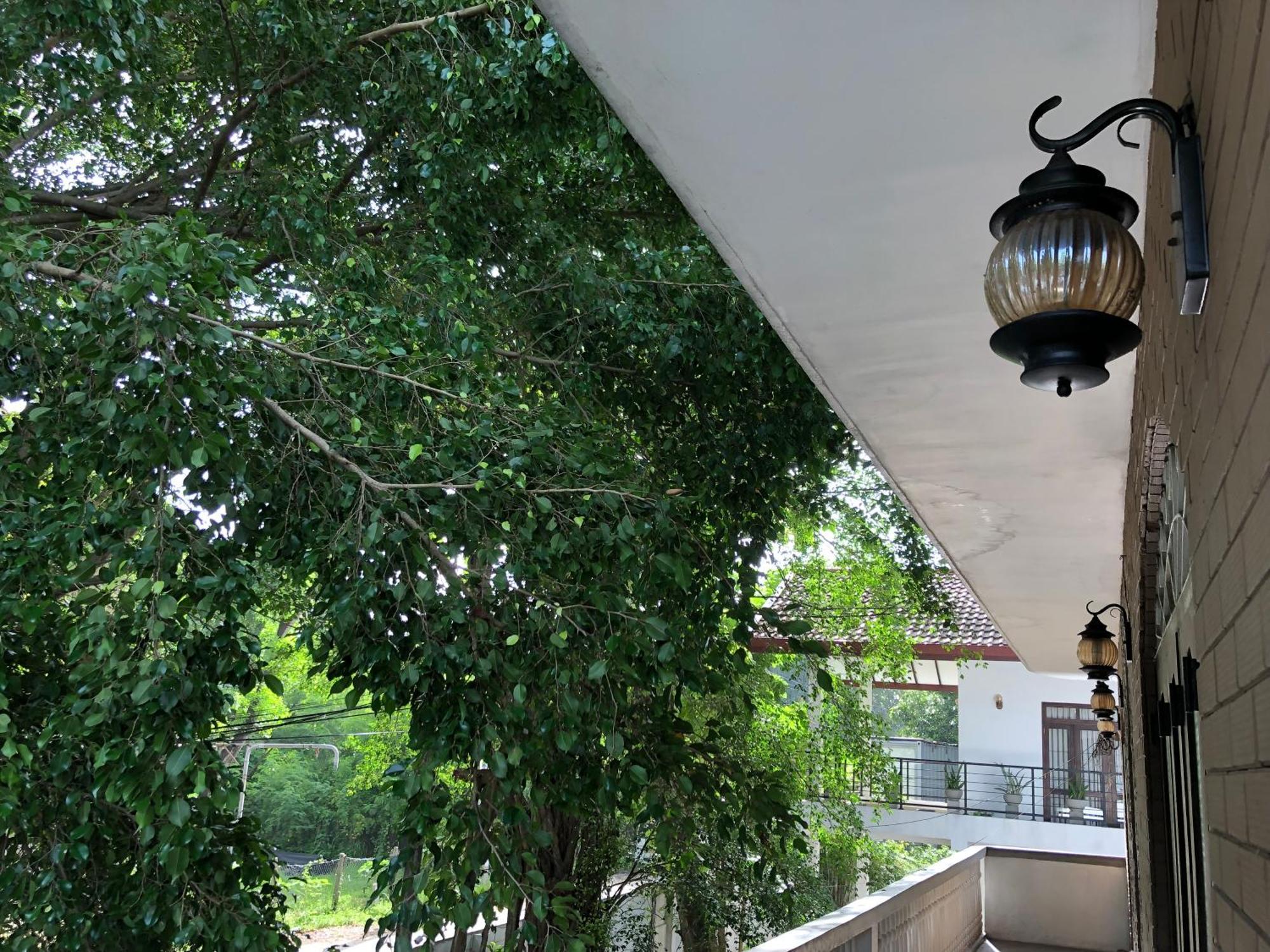 Murphy'S Villa Katunayaka Exteriör bild